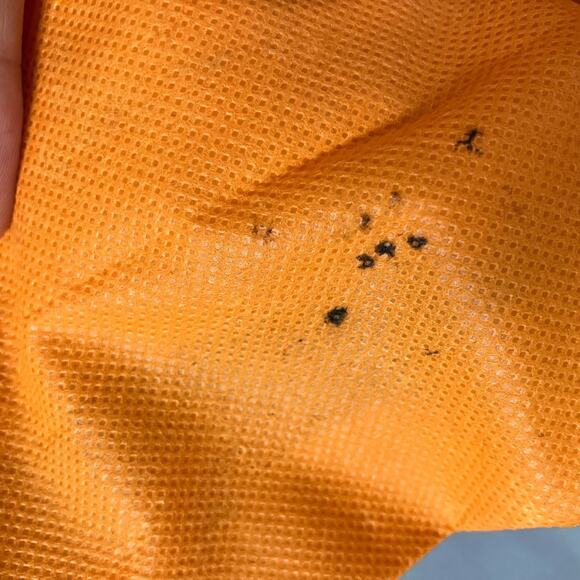 Orange Amplification Tote Bag 17x15 Logo Music Promo Slight Marks See Photos - Picture 7 of 16